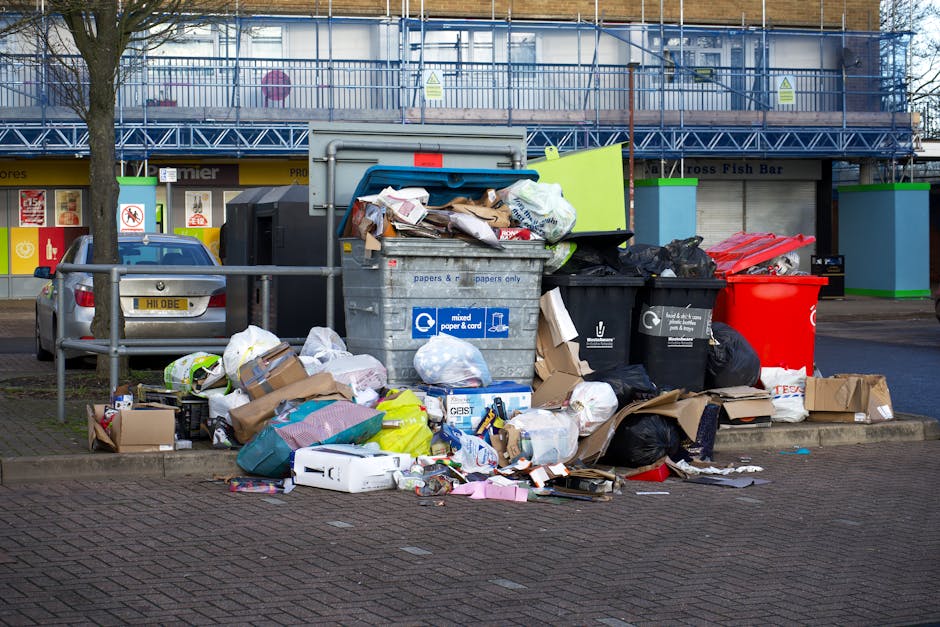 A row of black plastic wheelie bins lined up along the pavement of a residential street, with some bins partially open and others closed, showing textures of smooth plastic and white painted numbers o